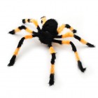 ��ǰ�̹���