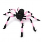 ��ǰ�̹���